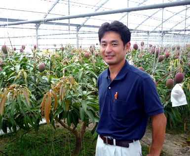 �}���S�[�͔|���i