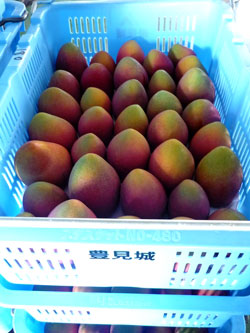 ����}���S�[�@�R���e�i�[��