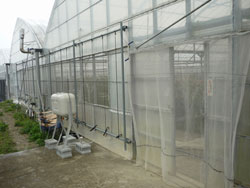 �}���S�[�̃n�E�X�O�@���ꌧ�@�L����