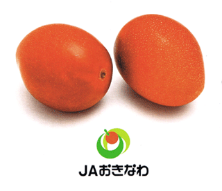 �i�`����@�Y���@�̔�