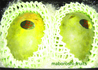 キーツマンゴーにもフルーツキャップは利用されます。沖縄産です