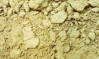 ����b�L�[�c�}���S�[�͔̍|�y��ł�