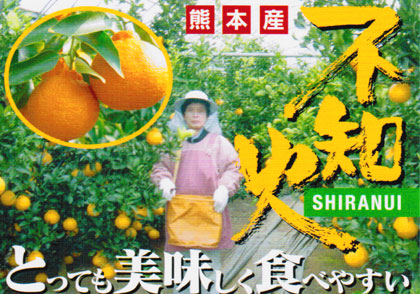 �t�t���i�f�R�|���j�s�m�΄����Ε�M�t�g�