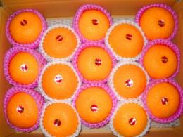 スイートスプリング　4kg産地箱入　果皮:黄色