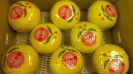 熊本パール柑　8から10玉大玉　　5kg産地箱入り