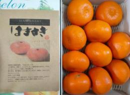 佐賀県　「はまさき」　2kg化粧箱入　Lから・3L中大玉サイズ　秀品