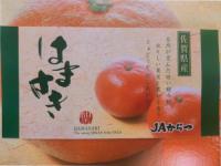 佐賀県　「はまさき」みかん　5kg産地箱入り　MからLサイズの小玉「秀品」