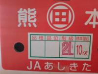 熊本県あしきた　田浦の甘夏みかん10kg　等級:無印