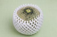 母の日　熊本産アンデスメロン　2玉箱入り　秀　L〜LA1.3〜1.6kg