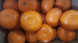 佐賀県　「はまさき」みかん　5kg産地箱入り　2Lから3Lサイズ 大玉「秀品」