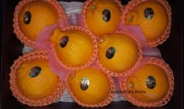 不知火柑　8個ギフト化粧箱詰　2.5kg