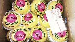 パール柑　18玉～20玉　10kg　2段詰め産地箱入り