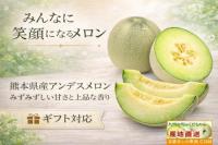 母の日　熊本産アンデスメロン　2玉箱入り　秀　L〜LA1.3〜1.6kg