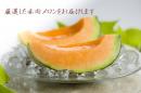 母の日　熊本産　赤肉メロン　2玉箱入り　秀　L〜LA1.2〜1.4kg
