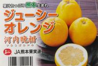 ジューシーオレンジ(河内晩柑)7.5kg2Lから3Lサイズ　秀品