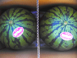 夏のさわやか西瓜2玉　一般サイズ箱入