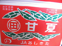 熊本県あしきた　田浦の甘夏みかん10kg　優品