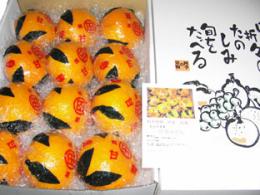 熊本特産　甘夏みかん12個ギフト化粧箱入り