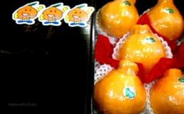 熊本産　デコポン5玉黒化粧箱入1.6kg