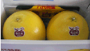 熊本八代特産　晩白柚　2玉　Lサイズ　等級:赤秀