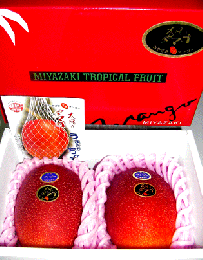 「太陽のタマゴ」宮崎完熟マンゴー　2個サイズ:3L大玉化粧箱入り