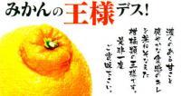 熊本産不知火みかん大玉 5kg産地箱入13玉~15玉クラス