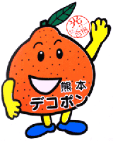 熊本産デコポン15玉　優品　産地箱入り