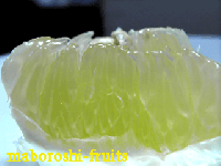 パール柑　L玉～2L　6玉～7玉化粧箱詰め