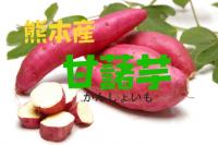 熊本産　さつまも　5kg　産地箱入り(焼き芋向けサイズ)