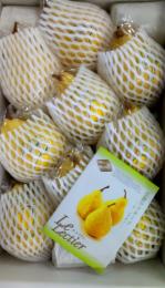 高級　洋なし　品種:ル・レクチェ　9玉から12玉化粧箱入り　