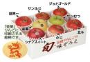 8種のりんごの味ぞろえ(干支りんご入り)