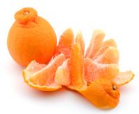 塩デコみかん5kg(路地栽培)(デコポン系)