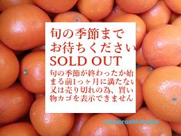 熊本産　塩みかん　品種みはや　2.5kg小箱入