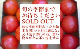 熊本県　八代海沿岸部　塩トマト産地箱入　1.6kg箱満杯詰め