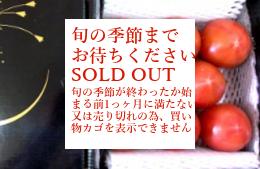 熊本県　八代海沿岸部　塩トマト　8個小箱入　MからLサイズ