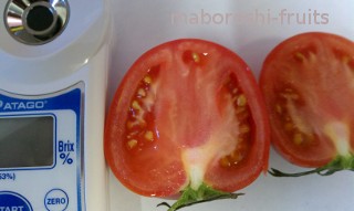 �g�}�g���x����