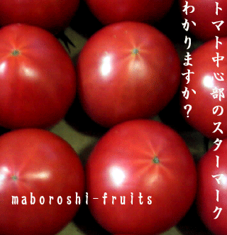 フルーツトマト｜熊本　塩トマト