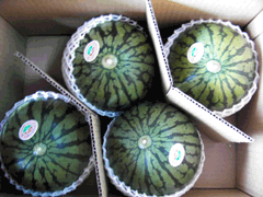 ひとりじめ　熊本産　｜夢大地かもと