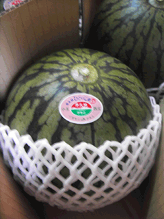 ひとりじめ　｜熊本すいか　｜西瓜