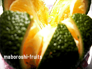 スウィートスプリングの皮は固い｜柑橘類果物