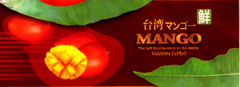 台湾産　マンゴー